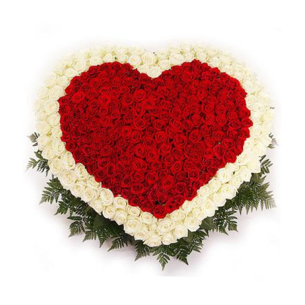 Cos 301 Trandafiri Rosii-Albi Inima [1]