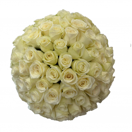 PROMOTII - Buchet 101 Trandafiri Albi