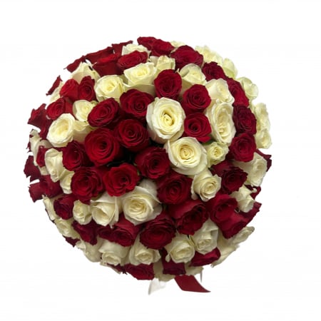 PROMOTII - Buchet 101 Trandafiri Rosii si Albi