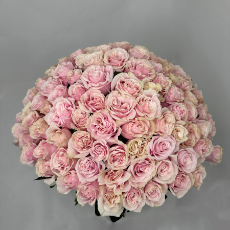 Buchet 101 Trandafiri Roz [1]