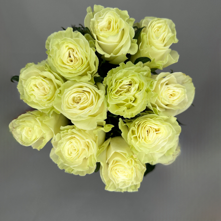 Buchet 11 Trandafiri Albi [1]