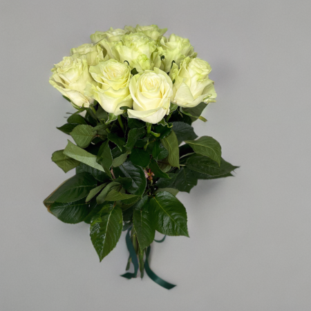 BUCHETE DE TRANDAFIRI - Buchet 11 Trandafiri Albi