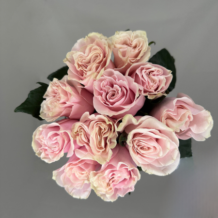 Buchet 11 Trandafiri Roz [1]