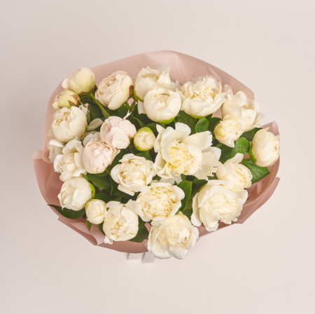 BUCHET 25 BUJORI ALBI [1]