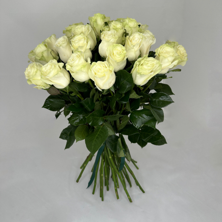 BUCHETE DE TRANDAFIRI - Buchet 33 Trandafiri Albi