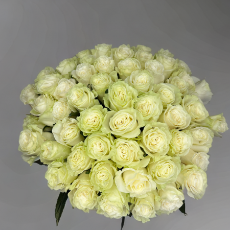 Buchet 55 Trandafiri Albi [1]