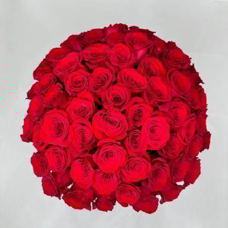Buchet 65 Trandafiri Rosii [1]
