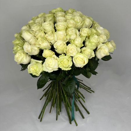 BUCHETE DE TRANDAFIRI ALBI - Buchet 85 Trandafiri Albi