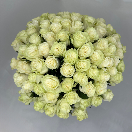 Buchet 85 Trandafiri Albi [1]