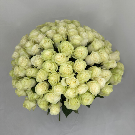 Buchet 99 Trandafiri Albi [1]
