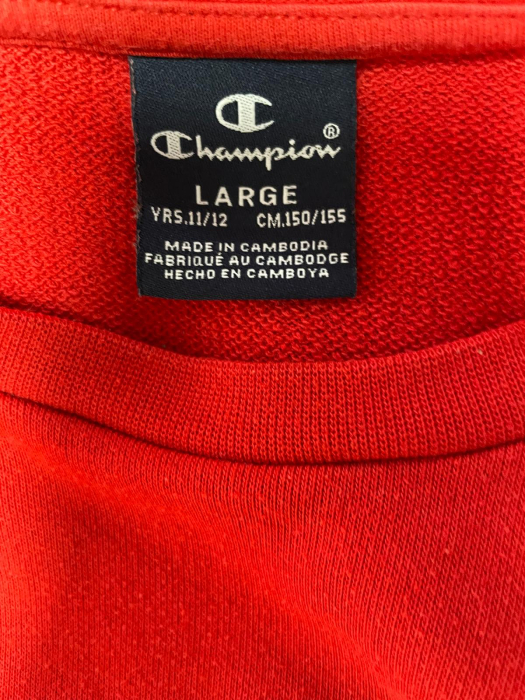 Champion bluza                           12 ani [3]