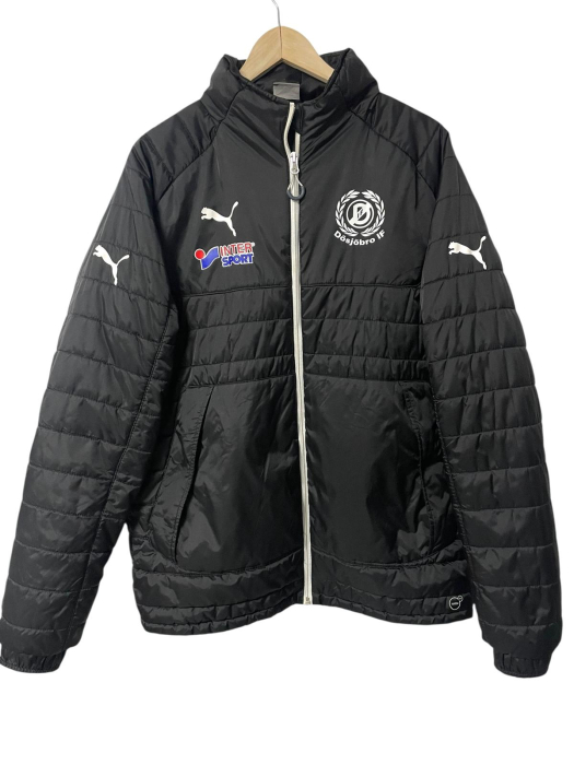 Puma geaca                         L [1]