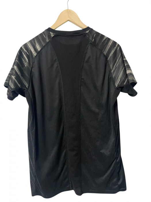 Domyos tricou                   L [2]