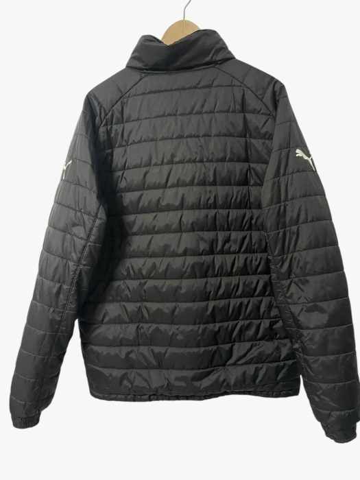 Puma geaca                         L [2]