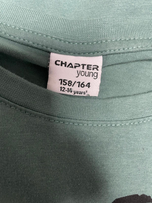 Chapter Young bluza baieti                           158/164 [3]