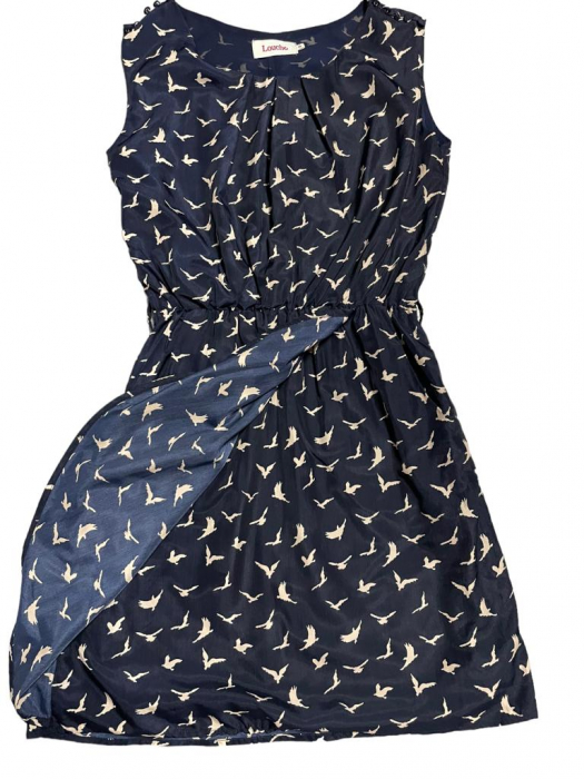 Louche rochie                   S [3]