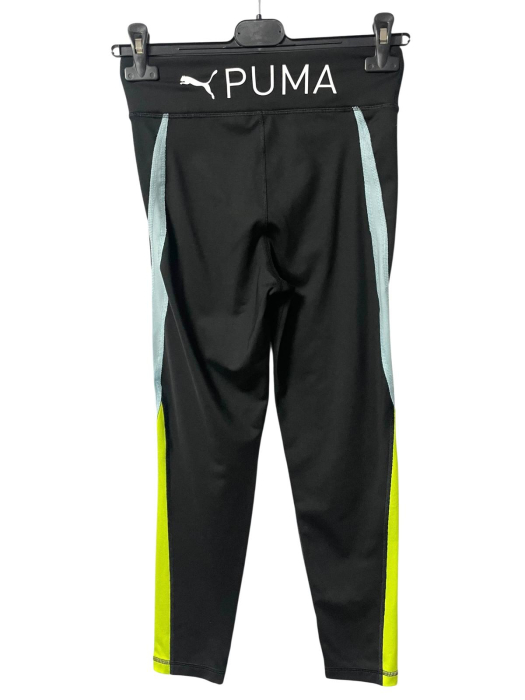 Puma colanti                          164 [2]