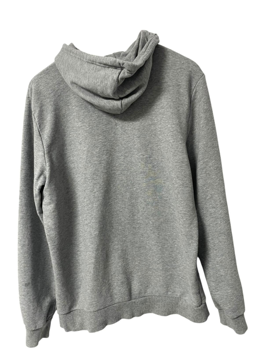 Puma hanorac                        M [2]