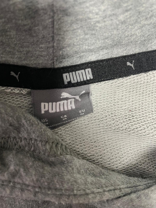 Puma hanorac                        M [3]