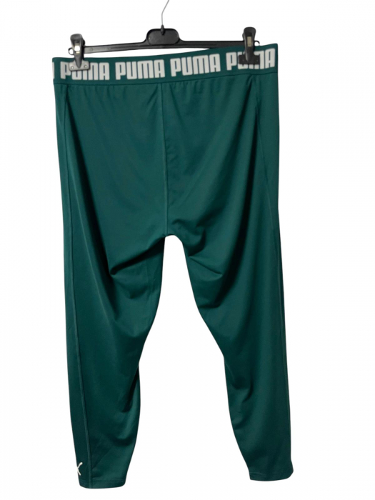Puma colanti                            XL [2]