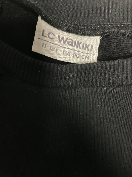 LC Waikiki bluza                          146/152 [3]