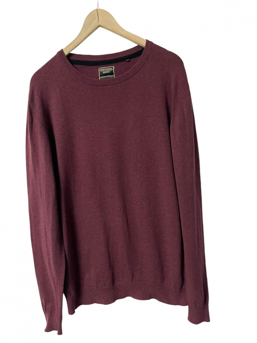 Northern pulover                              L [1]