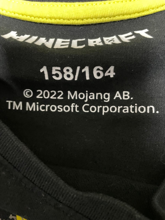 Minecraft bluza baieti                        158/164 [3]