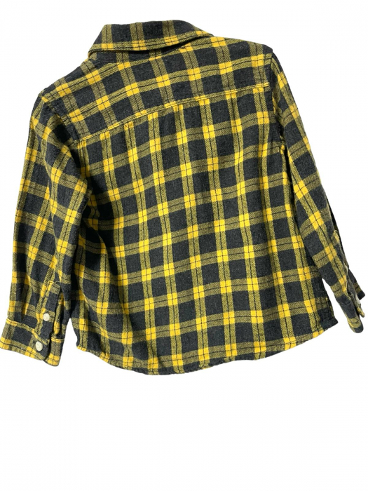 Zara camasa                       82 [2]