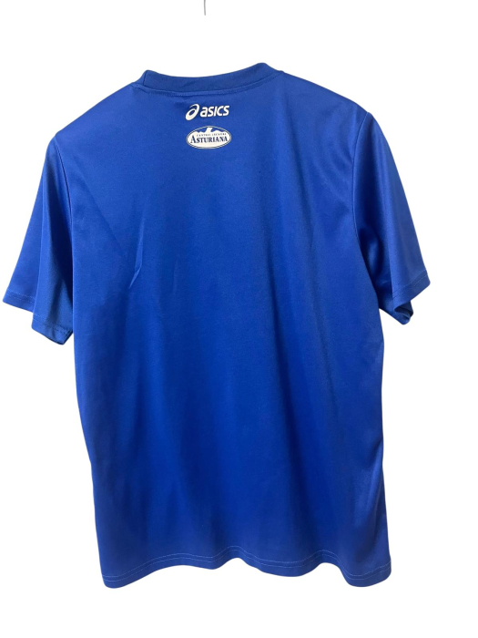 Asics tricou                       L [2]