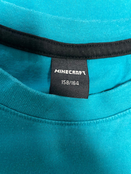 Minecraft maiou                           158-164 [3]