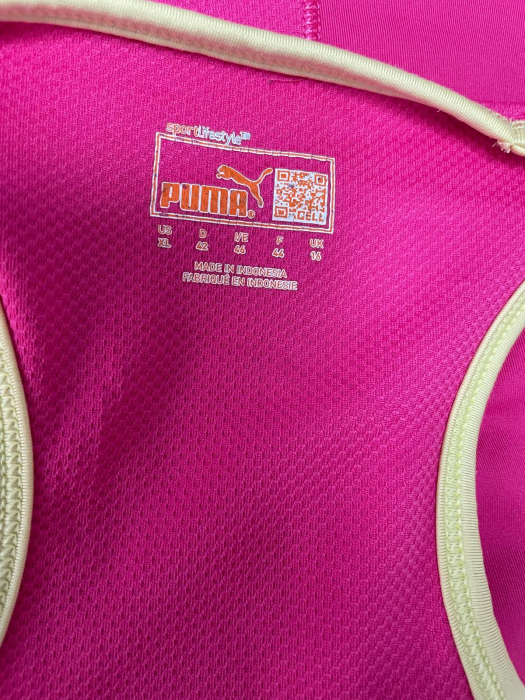 Puma maiou                               M [3]