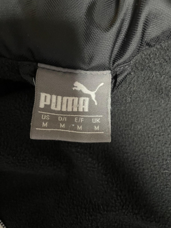 Puma geaca                         L [3]