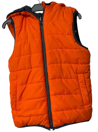 Vesta reversibila                            128 [2]