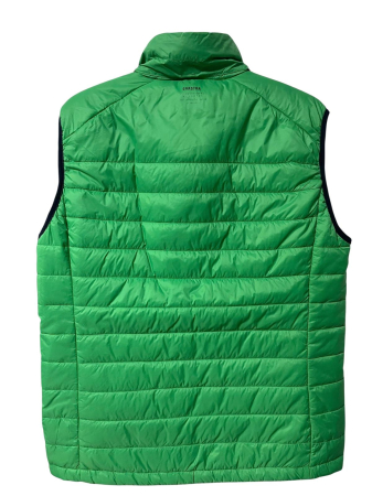 Gastra vesta                            XL [1]