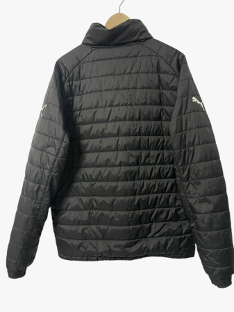 Puma geaca                         L [1]