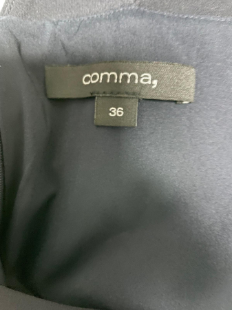 Comma salopeta                         M [2]