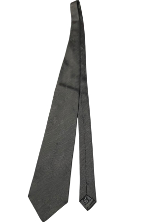Accesorii - Daniel Hechter cravata matase