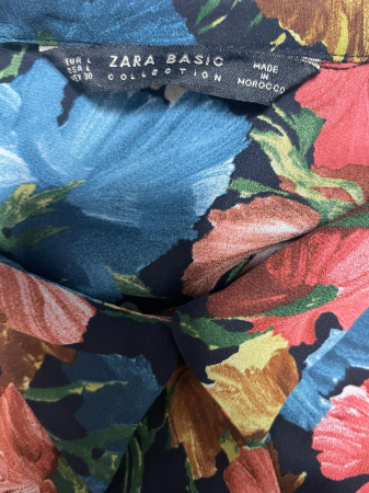 Zara camasa               L [3]
