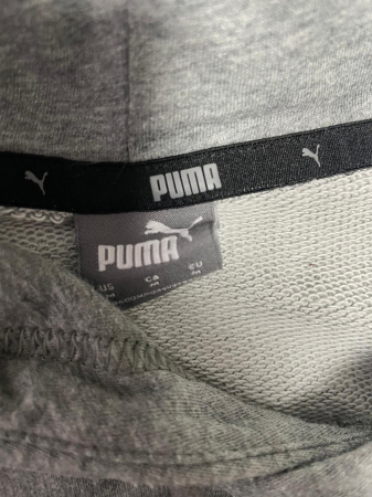 Puma hanorac                        M [2]