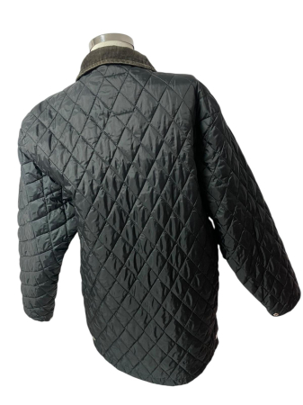 Addax geaca                      M [2]