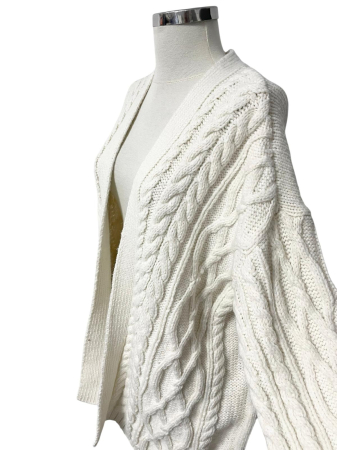 H&M cardigan                          XL [1]