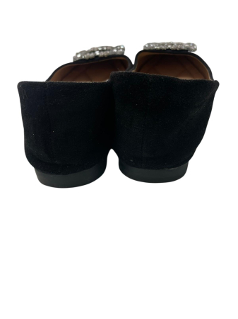 Balerini                         38 [3]