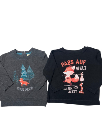 Hanorace - Set 2 bluze                                       74/80