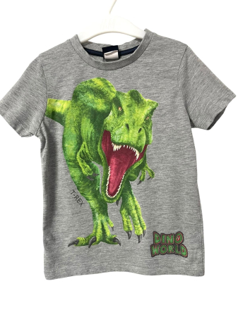 Tricouri si maiouri - Tricou baieti                          104