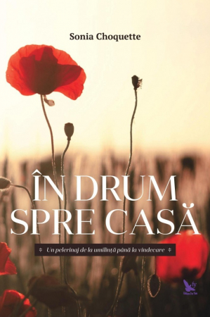 Non-fictiune - In drum spre casa