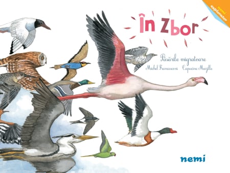 Fictiune - În zbor - Păsările migratoare