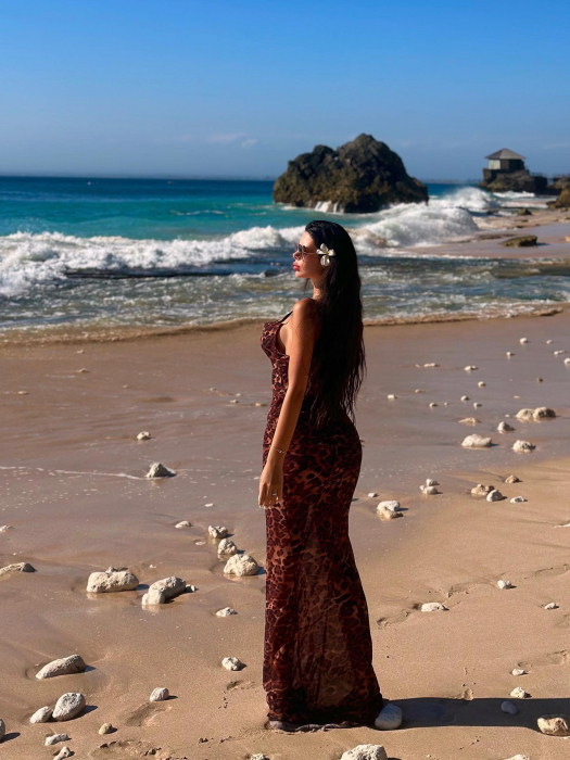 Leopard Beach Dress [3]