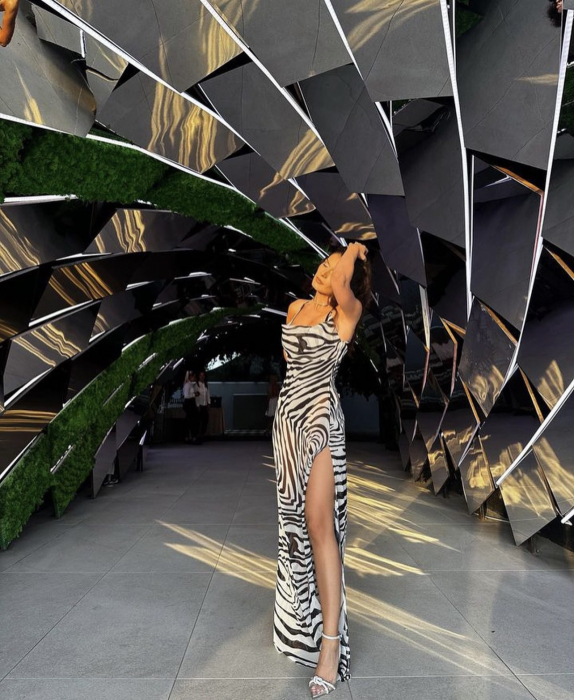 Zebra Beach Dress [5]
