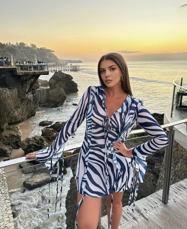 Blend Zebra Dress [5]