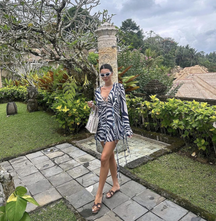 Blend Zebra Dress [1]
